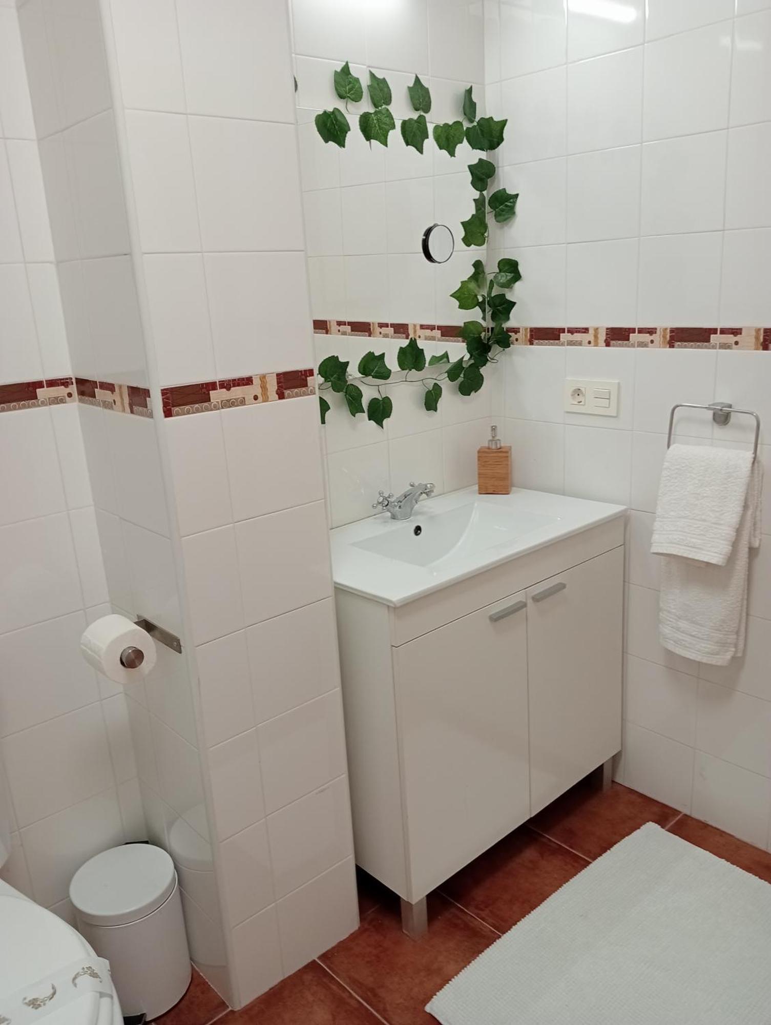 카레냐 데 카브랄레스 Cabrales Sol 아파트 외부 사진